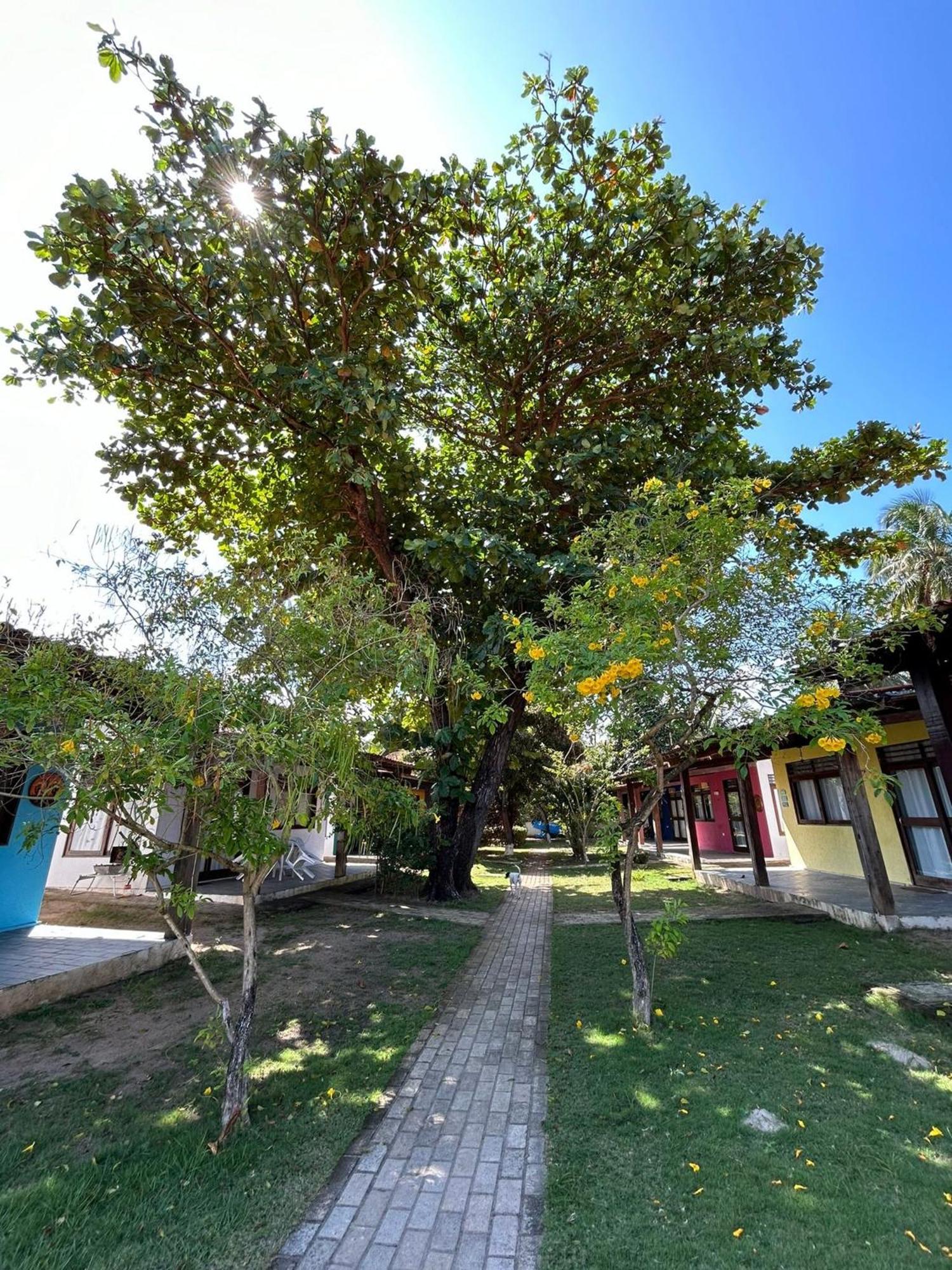 Chales Praias Brasileiras Maragogi Luaran gambar